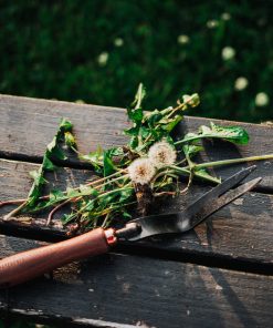 Dandelion Weeding Fork