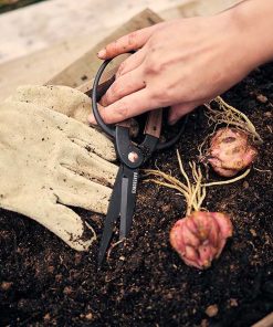 Garden Scissors