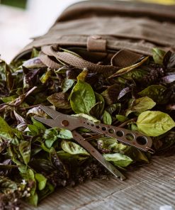 Herb Harvest and Strip Tool