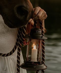 Hurricane Lantern Bundle