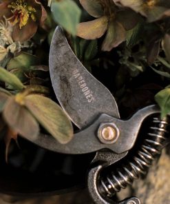 Pruner
